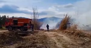 Καινούργιο: Μπαράζ πυρκαγιών τις τελευταίες ώρες (Video – Photos)