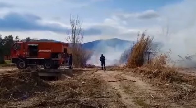 Καινούργιο: Μπαράζ πυρκαγιών τις τελευταίες ώρες (Video – Photos)
