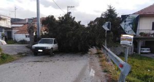 Απίστευτο: Δέντρο έπεσε σε διερχόμενο αυτοκίνητο στο Θέρμο – Σώος…