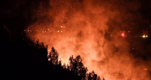Meteo: Αύξηση 750% στις δασικές πυρκαγιές το πρώτο τρίμηνο του…
