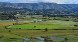 Καταβάλλονται άμεσες ενισχύσεις ύψους 104,39 εκατ. ευρώ