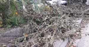 Δήμος Αγρινίου: «Όταν βγάζετε κλαδιά στα σκουπίδια ενημερώστε μας, αλλιώς…