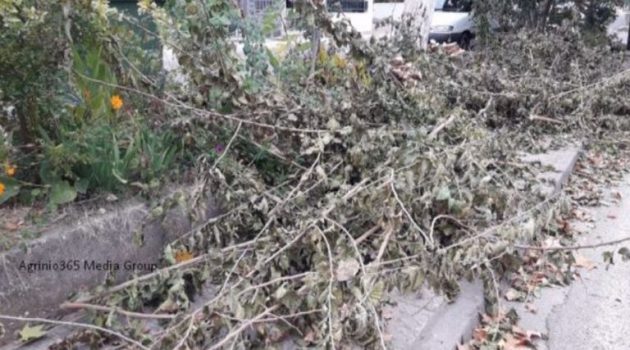 Δήμος Αγρινίου: «Όταν βγάζετε κλαδιά στα σκουπίδια ενημερώστε μας, αλλιώς πρόστιμο»