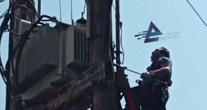 Αγρίνιο: Η πτώση περιστεριού σε μετασχηματιστή προκάλεσε διακοπή ρεύματος (Photos)