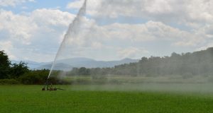 Με δικαστική απόφαση θα λειτουργήσουν οι Τ.Ο.Ε.Β. Μεσολογγίου και Κατοχής