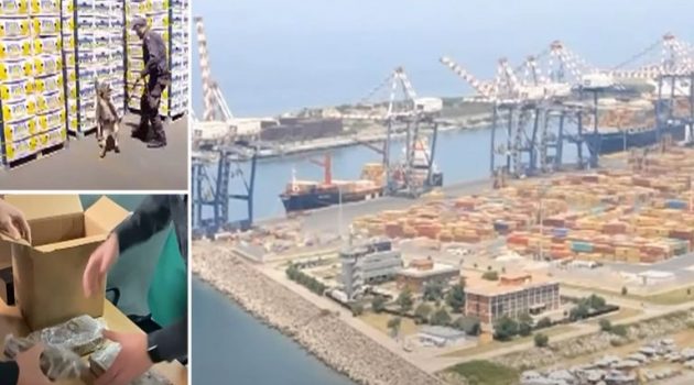 Ιταλία: Έκρυβαν 654 κιλά κοκαΐνης σε κουτιά με μπανάνες που προορίζονταν για τη Θεσσαλονίκη