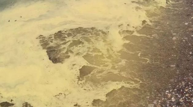 Πάτρα: Κιτρίνισε η θάλασσα στις παραλίες – Ανησύχησαν οι πολίτες (Video)