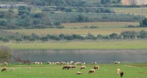 Επιπλέον πόροι για την βιολογική κτηνοτροφία και γεωργία