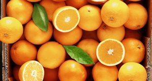 Οι συνδεδεμένες για πορτοκάλι, συμπύρηνο και βιομηχανική ντομάτα