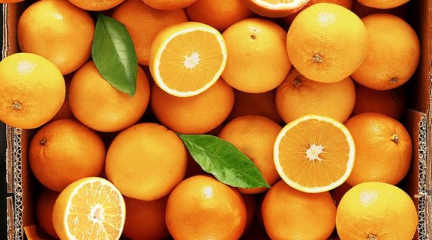 Οι συνδεδεμένες για πορτοκάλι, συμπύρηνο και βιομηχανική ντομάτα