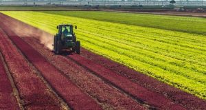 Α.Α.Δ.Ε.: Διευκρινίσεις σχετικά με την απόδοση Α.Τ.ΑΚ. αγροτεμαχίων
