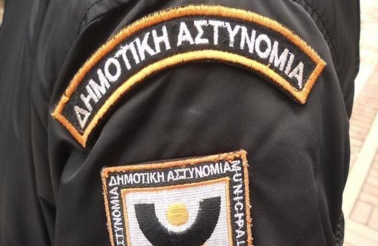 dimotiki