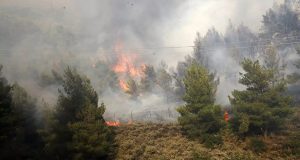 Αναζωπύρωση της φωτιάς στην Ηλεία – Εντολή 112 για εκκένωση…