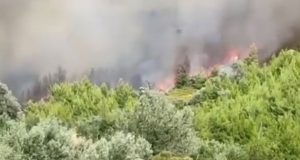Φωτιά στην Εύβοια: Εκκενώνεται το χωριό Κρεμαστός (Video – Photos)