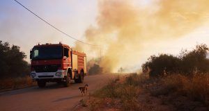Φωτιά στην Πουλακίδα Ναυπλίου: Σε εξέλιξη επιχείρηση κατάσβεσης (Photos –…