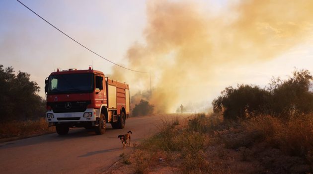 Φωτιά στην Πουλακίδα Ναυπλίου: Σε εξέλιξη επιχείρηση κατάσβεσης (Photos – Video)