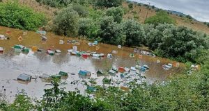 Καταστροφή για μελισσοκόμο στην Αμφιλοχία: Έχασε όλα τα μελίσσια (Video…