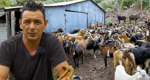Η Ορεινή Κτηνοτροφία στα βουνά του Βάλτου (Video)