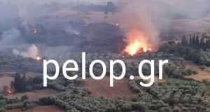 Φωτιά στην Αχαΐα: Η μαρτυρία βοσκού για έκρηξη και η…