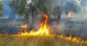 Πυρκαγιά στο Γιαννούζι Αγρινίου κινητοποίησε την Πυροσβεστική