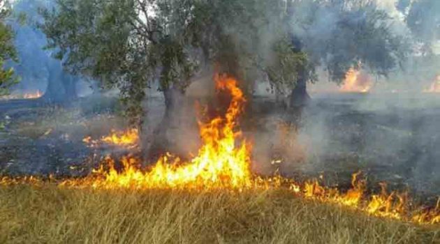 Πυρκαγιά στο Γιαννούζι Αγρινίου κινητοποίησε την Πυροσβεστική