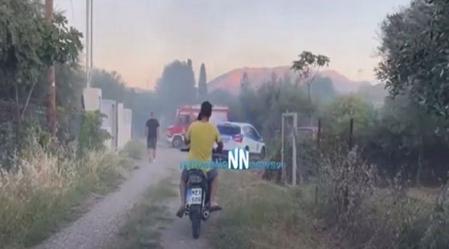 Παλαιοπαναγιά Ναυπάκτου: Πυρκαγιά σε αγροτική έκταση (Videos)