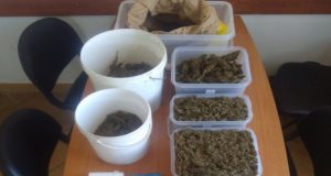Συνελήφθη διακινητής ναρκωτικών στο Αγρίνιο – Κατασχέθηκαν δύο κιλά χασίς…