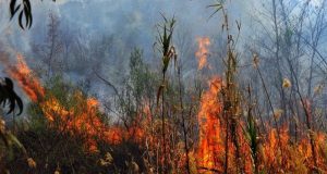 Πυρκαγιές: Εκτακτη σύσκεψη – Η Δυτική Ελλάδα στις πέντε περιοχές…