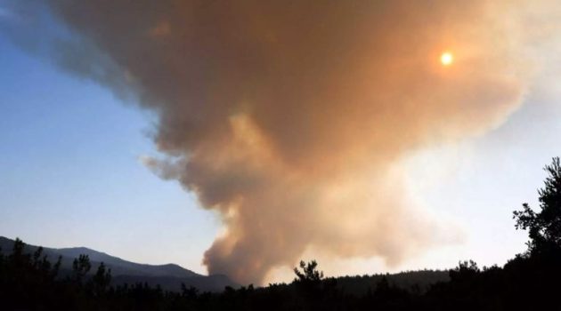 Φωτιά στη Δαδιά: Καίγεται για 7η μέρα το δάσος – «Σηκώθηκαν» τα εναέρια μέσα