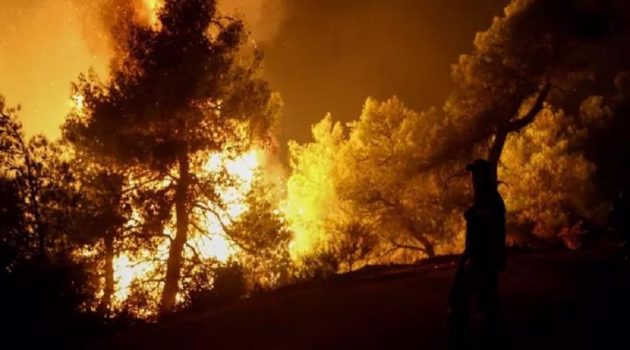 Φωτιά στη Λευκάδα: Στις φλογές έκταση στην περιοχή Καλλιγόνι – Ενισχύονται οι δυνάμεις στο σημείο