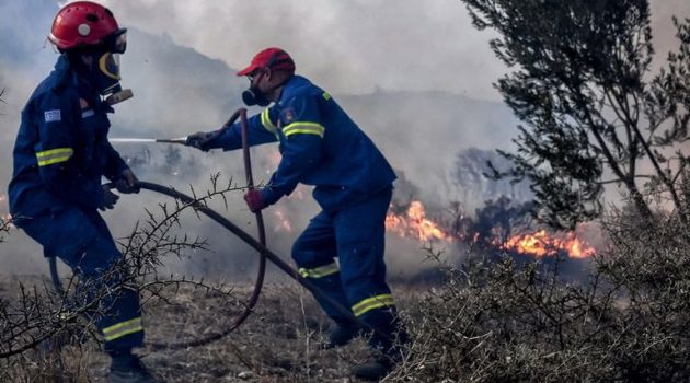 Πυροσβέστες εντόπισαν αρχαιολογικά ευρήματα μετά τη φωτιά στα Λεχαινά