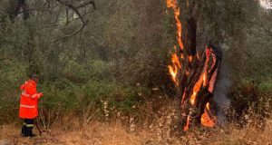 Ιερά Μητρόπολη Αιτωλίας και Ακαρνανίας: Δέηση υπέρ καταπαύσεως των πυρκαϊών