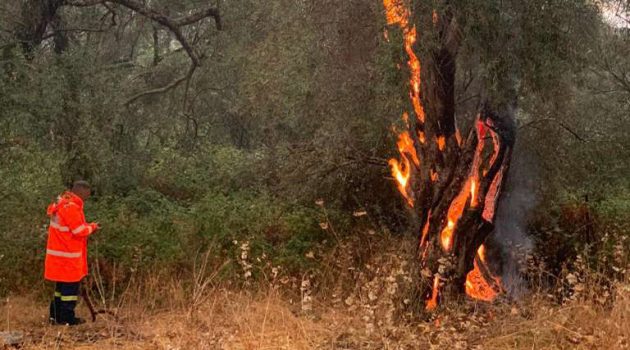 Λευκάδα: Φωτιές από κεραυνούς – Αναστάτωση στους λουόμενους (Photos)
