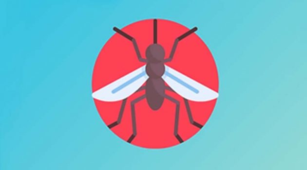 Ελληνική εφαρμογή διώχνει τα κουνούπια και είναι δωρεάν – Πώς λειτουργεί