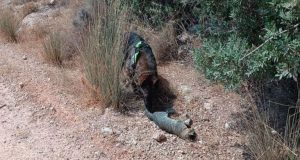 Ρόδος: Φόλες και νεκρά ζώα εντόπισε στα Κοσκινού η «Τσίκα»