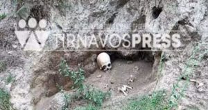 Τύρναβος: «Θρίλερ» με ανθρώπινο κρανίο και διάσπαρτα οστά – Πρώτες…
