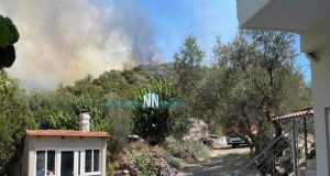 Μεγάλη πυρκαγιά στην Αφροξυλιά Ναυπακτίας – Πλησιάζει σε σπίτια (Videos)