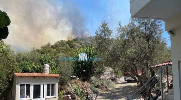 Μεγάλη πυρκαγιά στην Αφροξυλιά Ναυπακτίας – Πλησιάζει σε σπίτια (Videos)