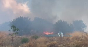 Πυρκαγιά στην Αφροξυλιά Ναυπακτίας: Στην μάχη με τις φλόγες και…