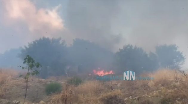 Πυρκαγιά στην Αφροξυλιά Ναυπακτίας: Στην μάχη με τις φλόγες και εναέρια μέσα (Videos)