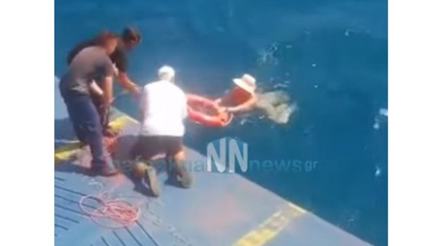Απίστευτο περιστατικό στο Ρίο-Αντίρριο: Ferry Boat έσωσε δύο ηλικιωμένες κολυμβήτριες (Videos)