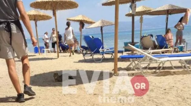Αγκίστρι: Άντρας ξεψύχησε στην παραλία, μπροστά στη γυναίκα του