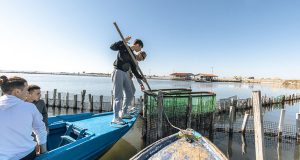 Messolonghi By Locals: «Χαράσσοντας τη ζωή του ψαρά»