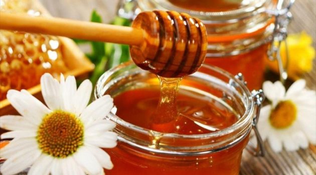 Διήμερο Συνέδριο για το ελληνικό μέλι