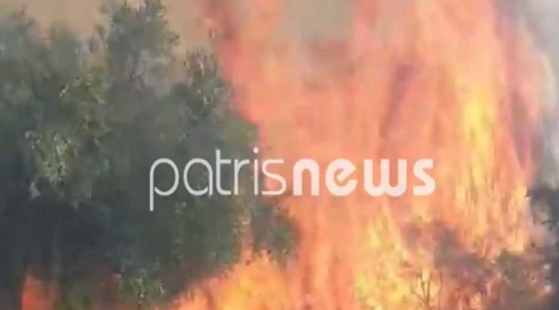 Δυνατή βροχή «σβήνει» τη μεγάλη φωτιά στην Ηλεία στα χωριά Ανάληψη και Λαμπέτι