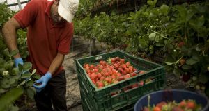 Τροπολογία για παράταση της μετάκλησης Εργατών Γης