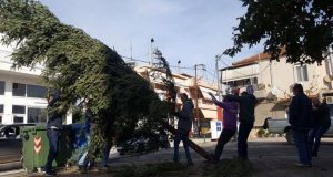 Δημήτρης Αναστασίου: «Τοποθετήθηκε το Χριστουγεννιάτικο Δέντρο στην Πλατεία Καλυβίων» (Photos)