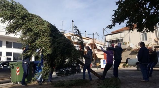 Δημήτρης Αναστασίου: «Τοποθετήθηκε το Χριστουγεννιάτικο Δέντρο στην Πλατεία Καλυβίων» (Photos)