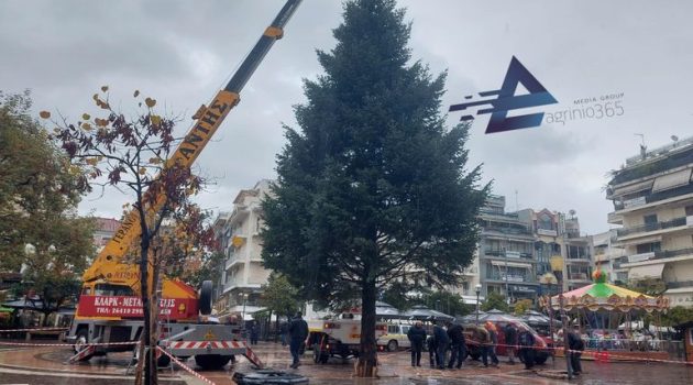 Αγρίνιο: Η τοποθέτηση του Χριστουγεννιάτικου Δέντρου στην Πλατεία Δημοκρατίας (Video – Photos)