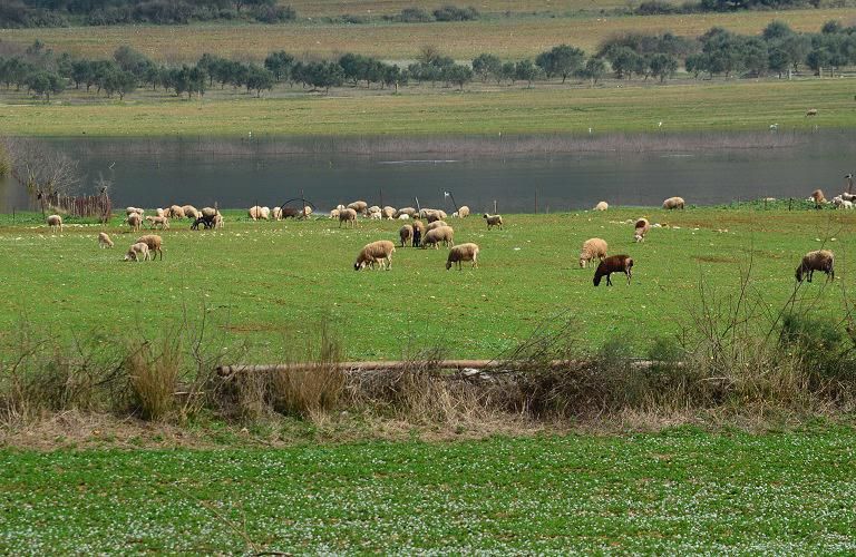 agroperivallontika
